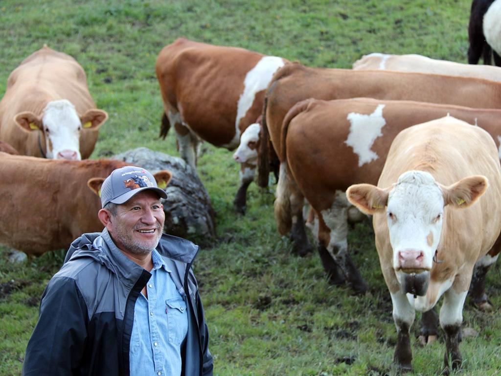 Rund 100 Zuchtinteressierte aus Lateinamerika bereisten die Schweiz und erhielten direkte Einblicke in Betriebe, Rassenvielfalt und Zuchtarbeit. Der persönliche Austausch stärkte Vertrauen und zeigt die internationale Bedeutung Schweizer Genetik.