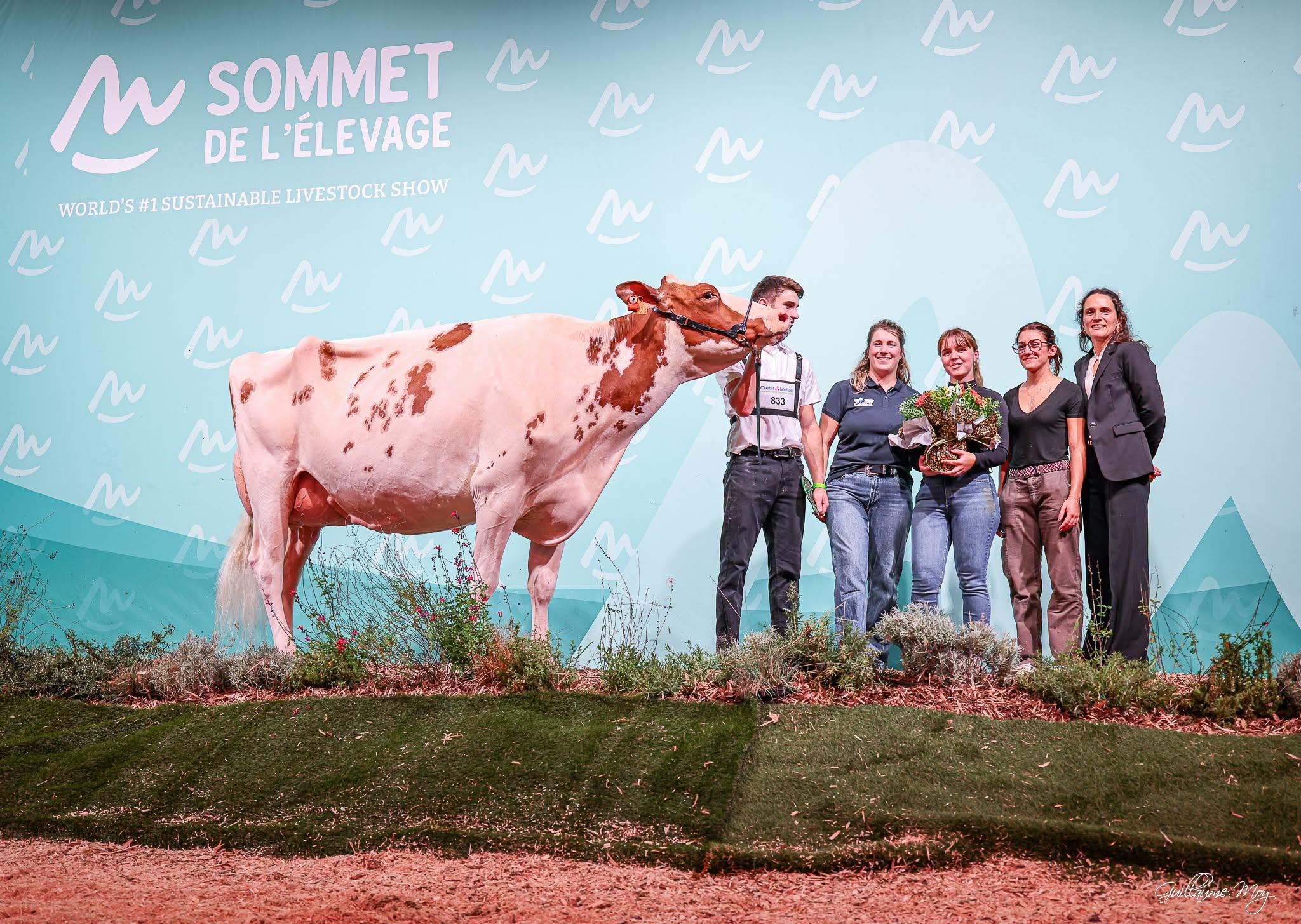 Am Sommet de l’Élevage mit Rekordbesuch vertiefte Swissgenetics internationale Partnerschaften. Töchter ihrer Stiere überzeugten mit mehreren Spitzenresultaten in den Holstein- und Brown-Swiss-Wettbewerben.