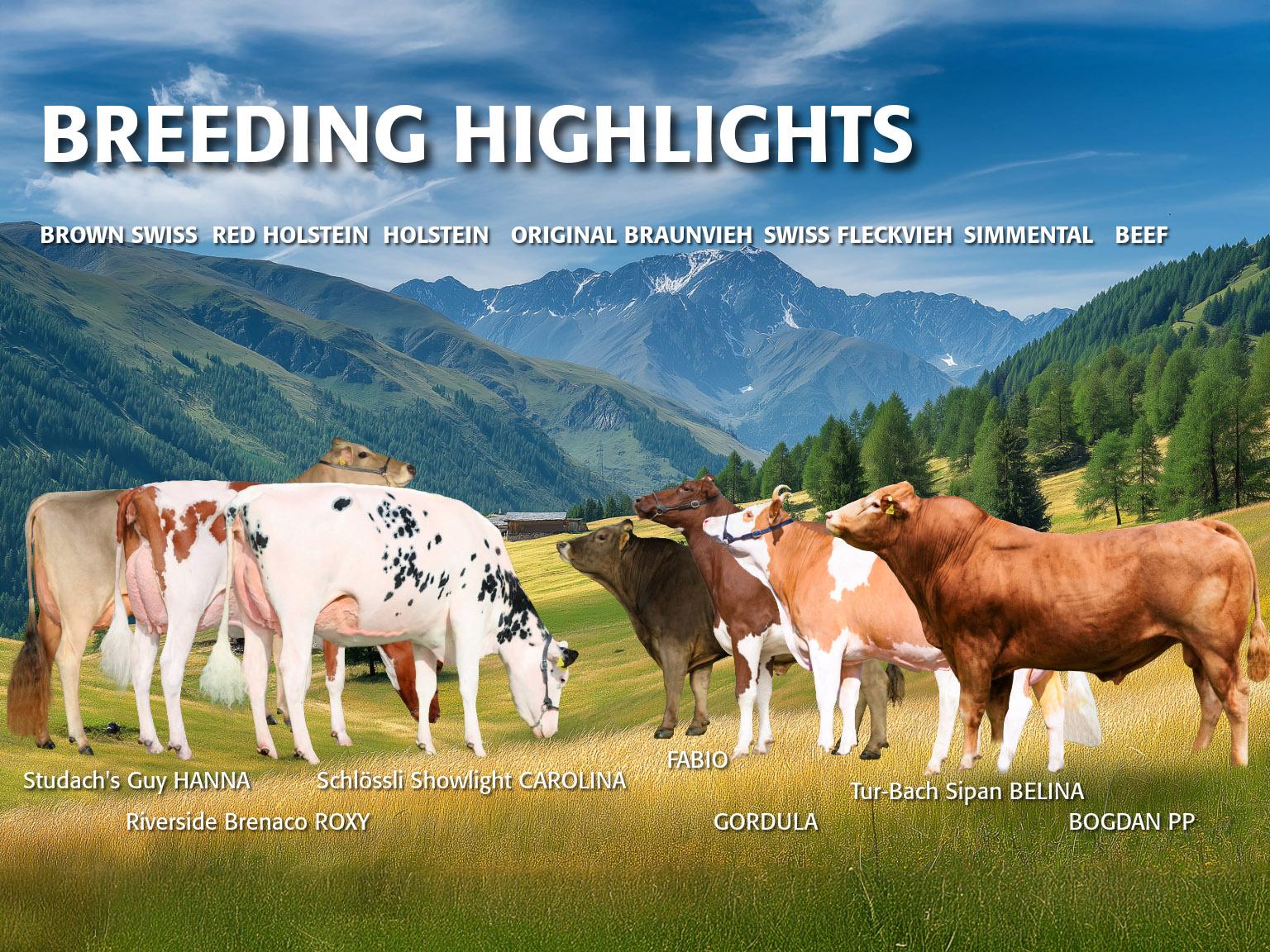 À l’issue de l’évaluation génétique d’avril 2026, Swissgenetics présente de nouveaux taureaux pour les races laitières, mixtes et à viande, se distinguant par des index solides, des pédigrées variés et un fort potentiel pour l’élevage moderne.