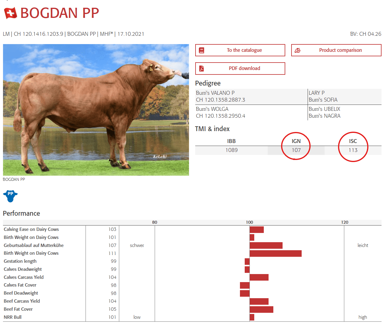 Die neuen Indexzuchtwerte IGN und ISC erleichtern die Auswahl von Mastrassenstieren für Beef on Dairy: IGN fördert leichte, sichere Geburten, ISC steigert die Wirtschaftlichkeit in der Mast. Beide Indizes sind rassenübergreifend vergleichbar und ab sofort verfügbar.
