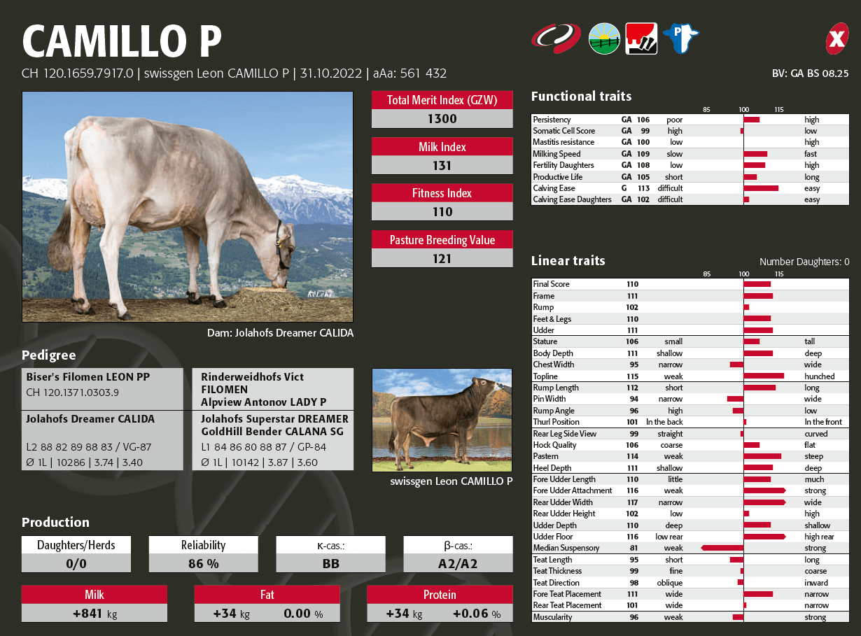 The Brown Swiss bull CAMILLO P is identified with the Pasture Adapted and Robot Ready logos, highlighting his suitability for modern, flexible production systems