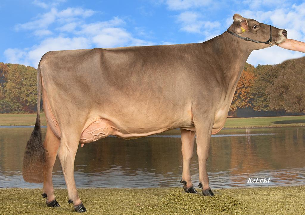 Lennox HENRIKA EX-92 from Vorarlberg, Austria