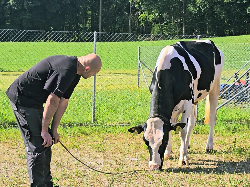 CONTIGO überzeugt international mit über 40’000 verkauften Dosen, Spitzenwerten bei TPI und LPI sowie Töchtern mit Höchstindexen in Europa. Seine leistungsstarke Familie und das komplette Profil machen ihn zu einem weltweit gefragten Vererber.