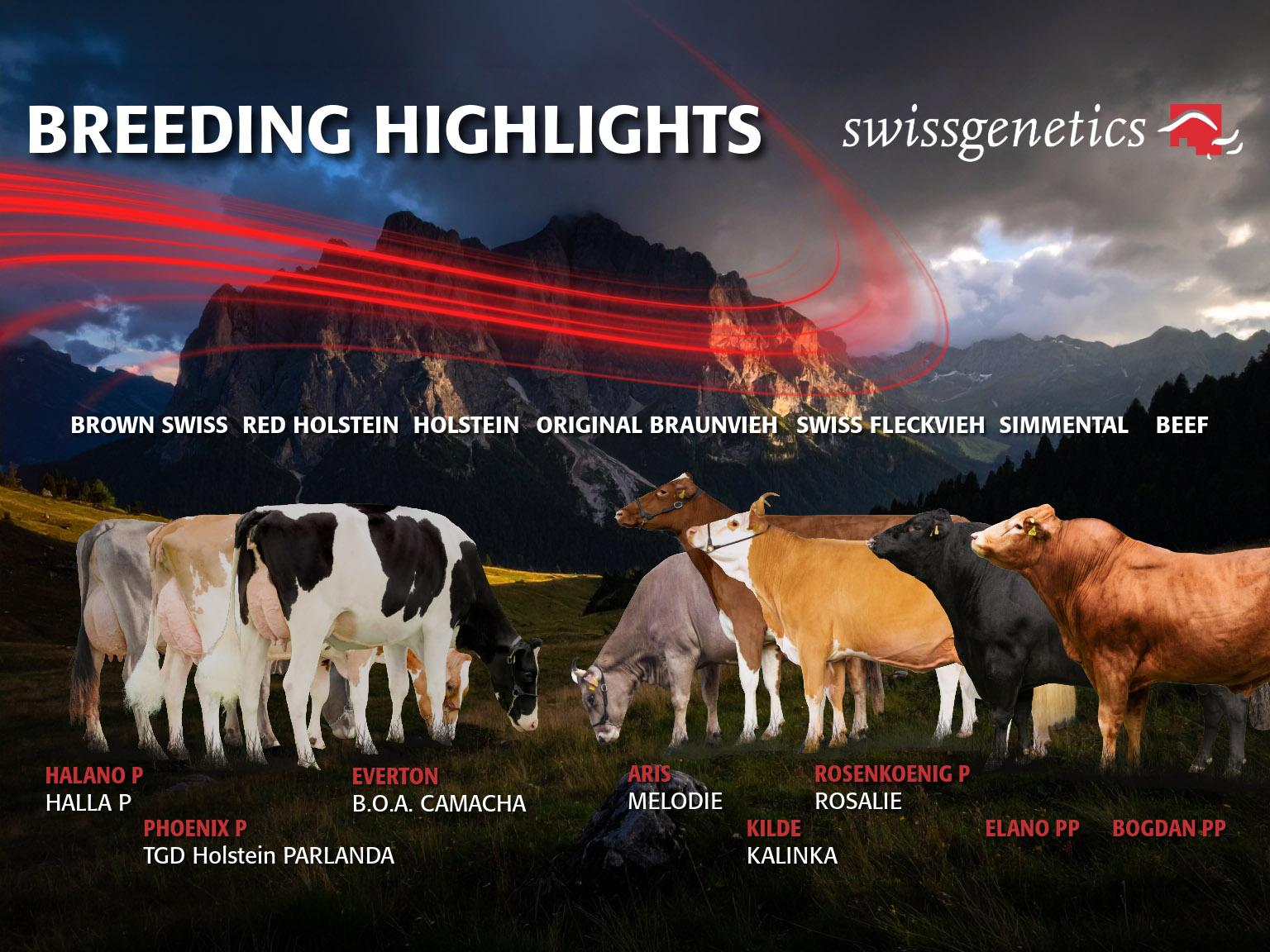 Swissgenetics präsentiert neue Zucht-Highlights für alle Rassen – von genomischen Jungstieren bis zu nachzuchtgeprüften und international bewährten Vererbern für Leistung, Fitness, Exterieur und Fleischproduktion.