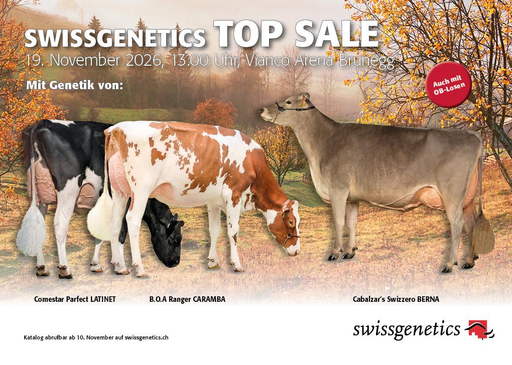 Die Expo Swissgenetics am 19. November 2026 in Brunegg zeigt Fortschritte der Schweizer Viehzucht. Höhepunkt ist die Top Sale mit Verkaufslose der Rassen BS, OB, HO und RH.